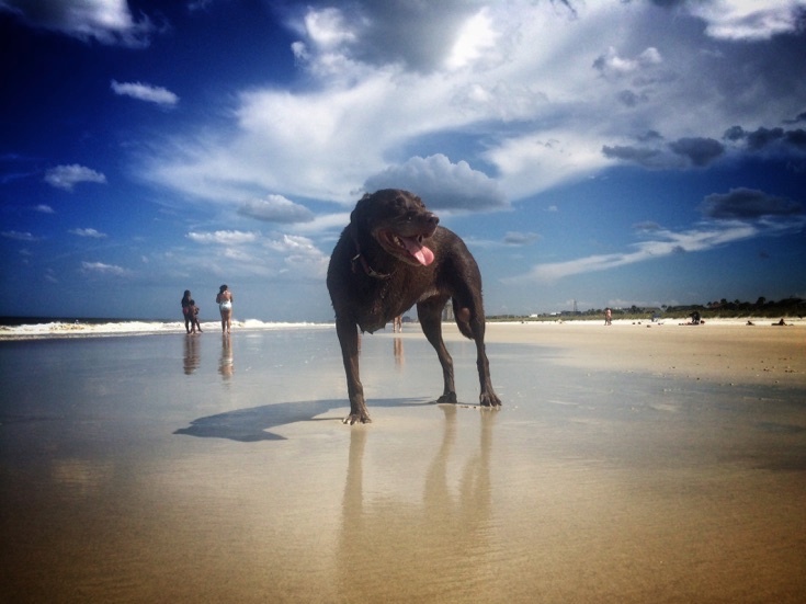 bella-robert-cancer-road-trip-6