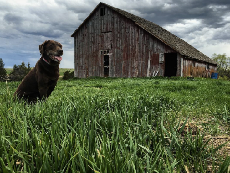 bella-robert-cancer-road-trip-10