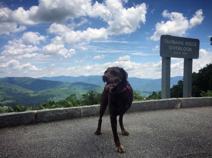 bella-robert-cancer-road-trip-8