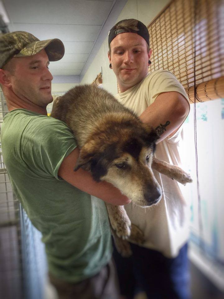 rocky-forest-rescue-4