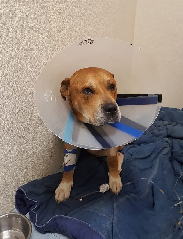 king-second-chance-3