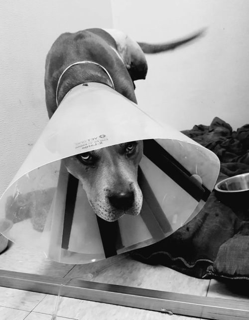 king-second-chance-2