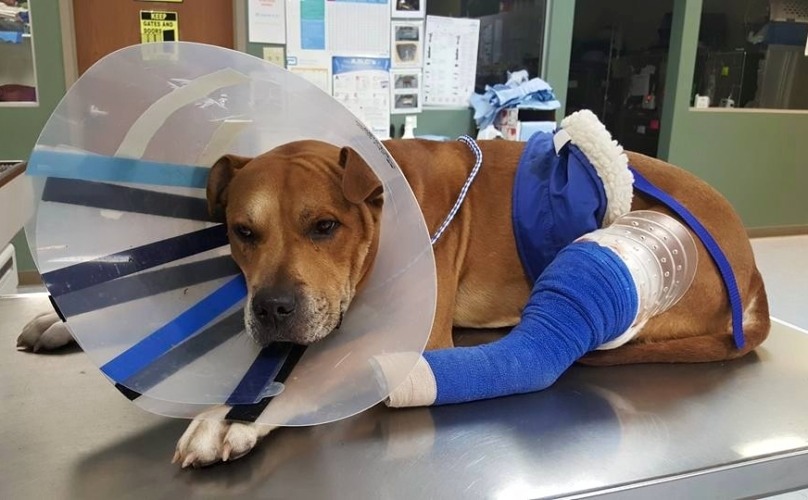 king-second-chance-1