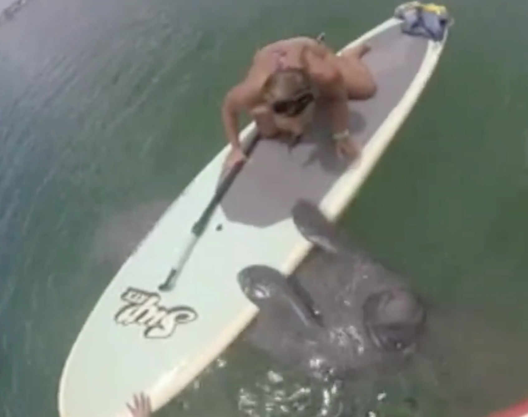 paddleboard-lamentin-2