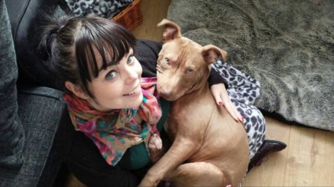 hank-pitbull-saisi-dangereux-1