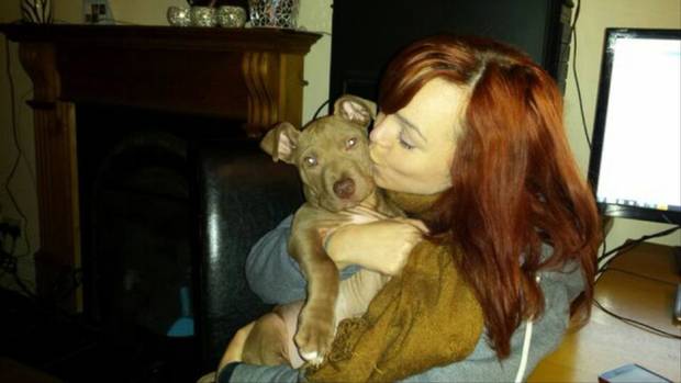 hank-pitbull-saisi-dangereux-5