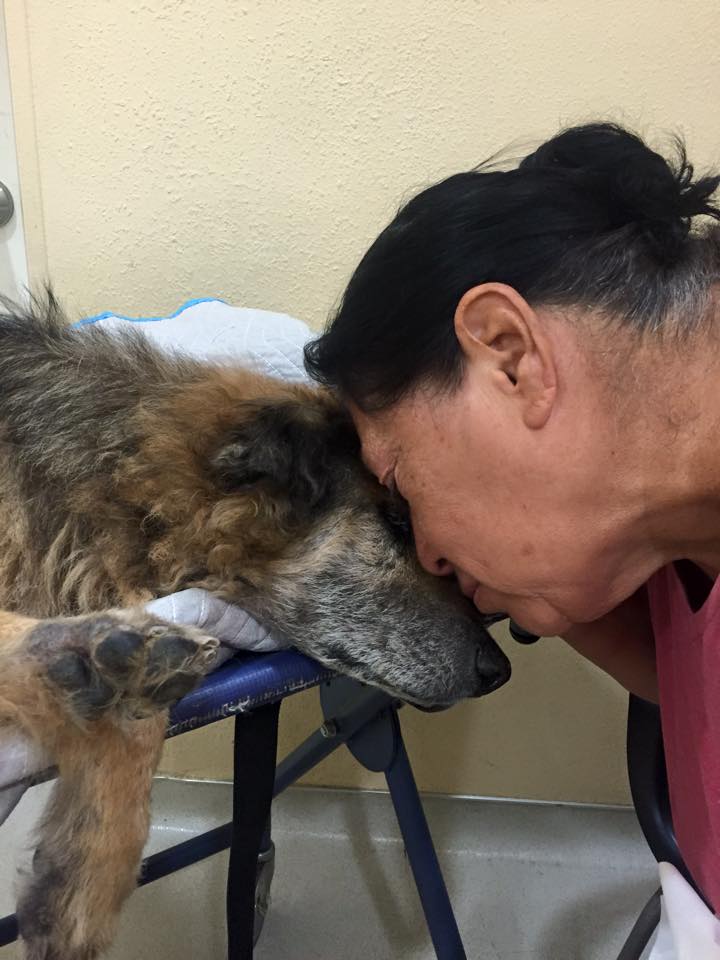 solovino-dog-goodbye-2