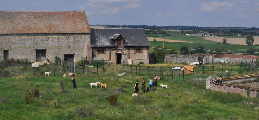 ava-thierry-bedossa-7