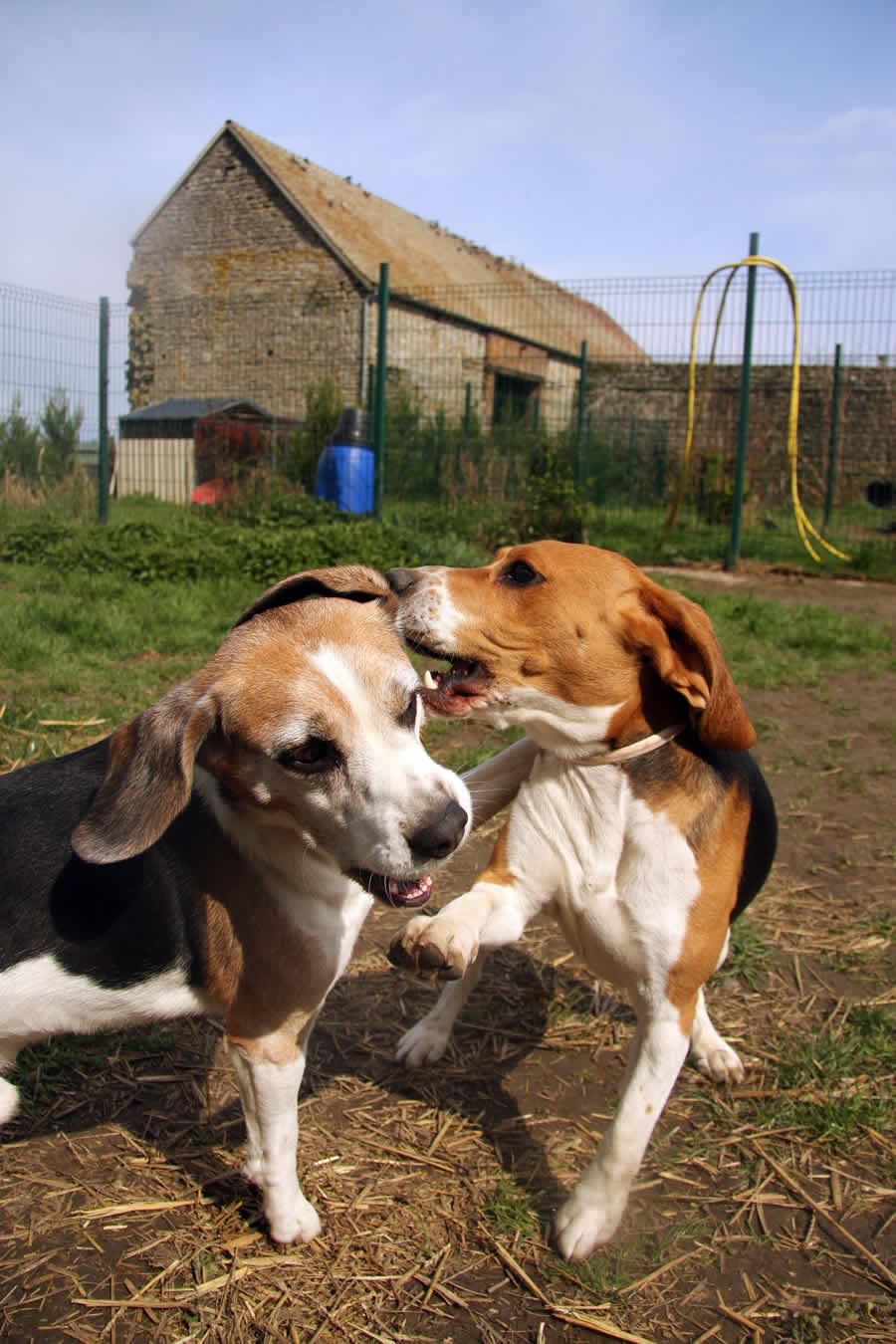 ava-thierry-bedossa-2