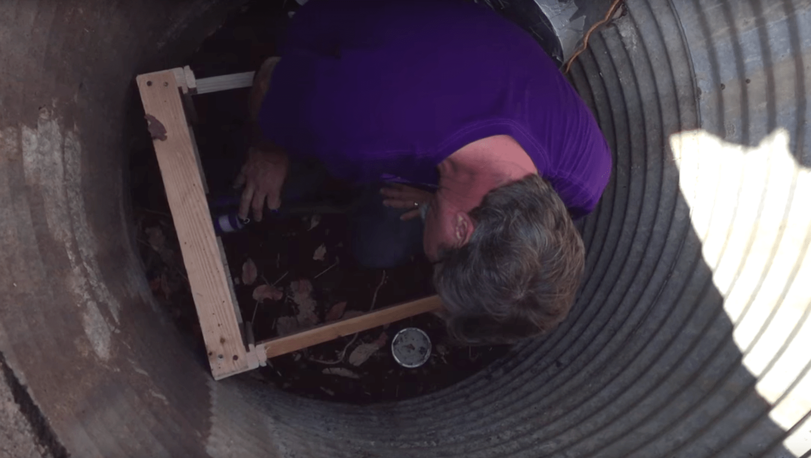 cali-kitten-rescue-2