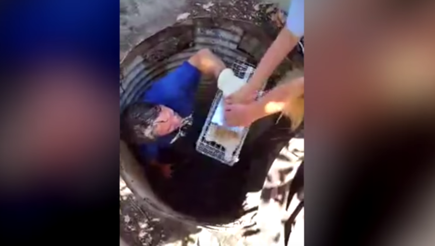 cali-kitten-rescue-7