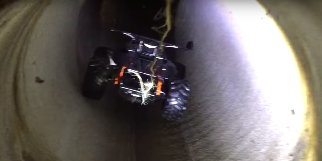 cali-kitten-rescue-3