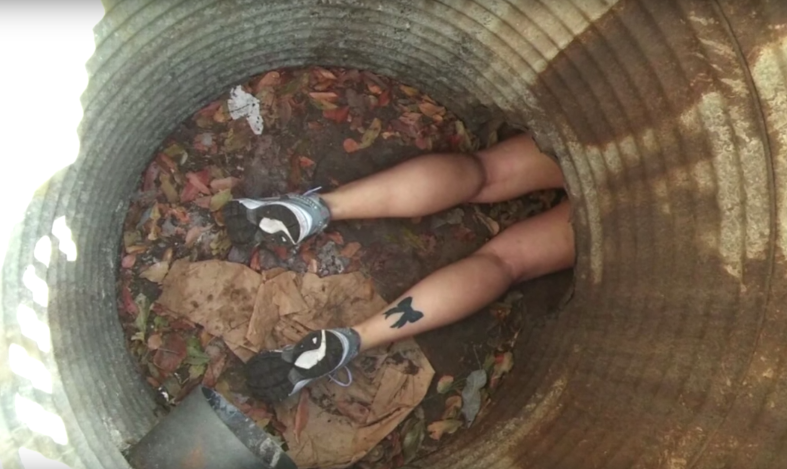 cali-kitten-rescue-6