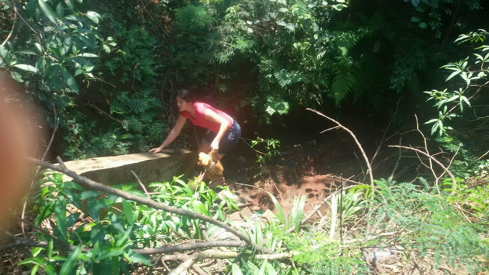 facebook-rescue-dog-2