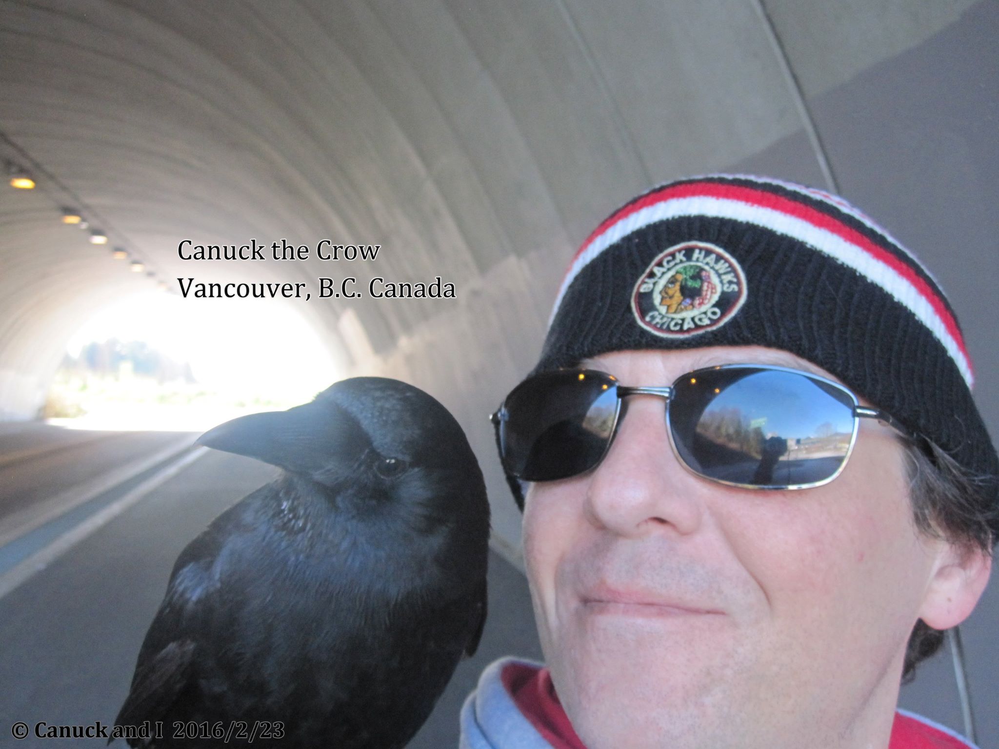 canuck-crow-rescue-9