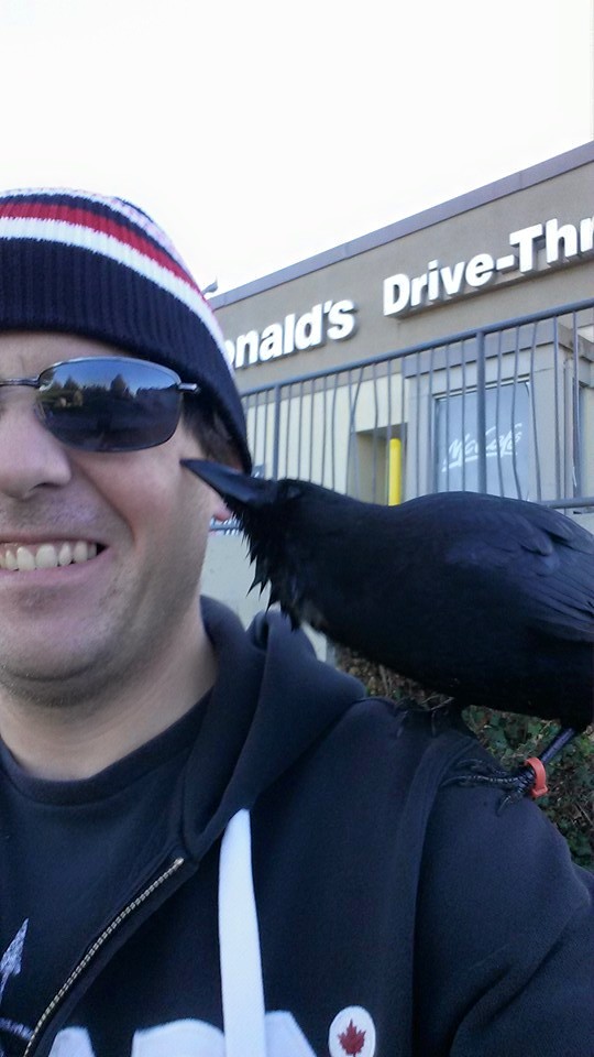 canuck-crow-rescue-2
