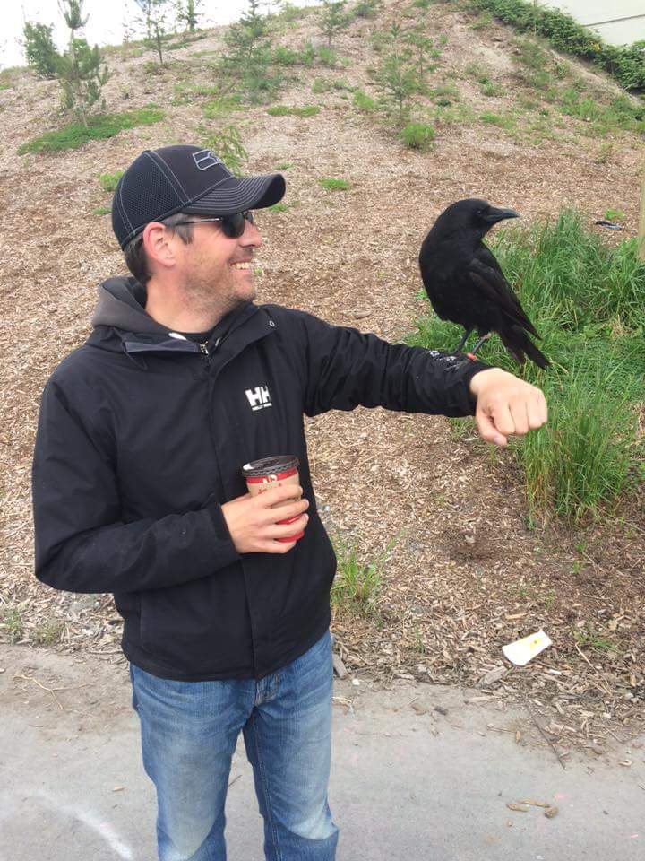 canuck-crow-rescue-6