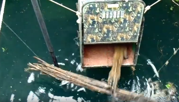 drowning-leopard-rescue-5