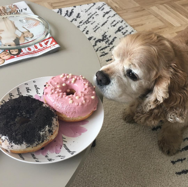 dog-training-mistakes-3