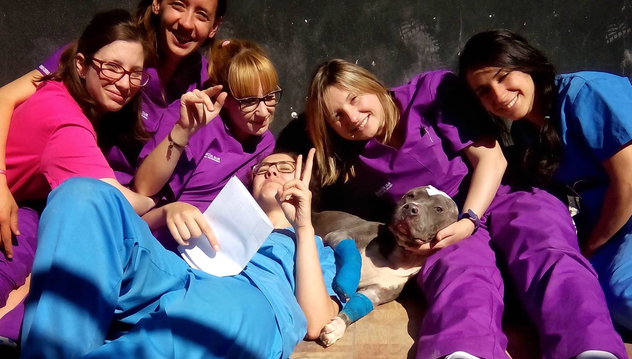 betsy-bait-dog-recovery-3