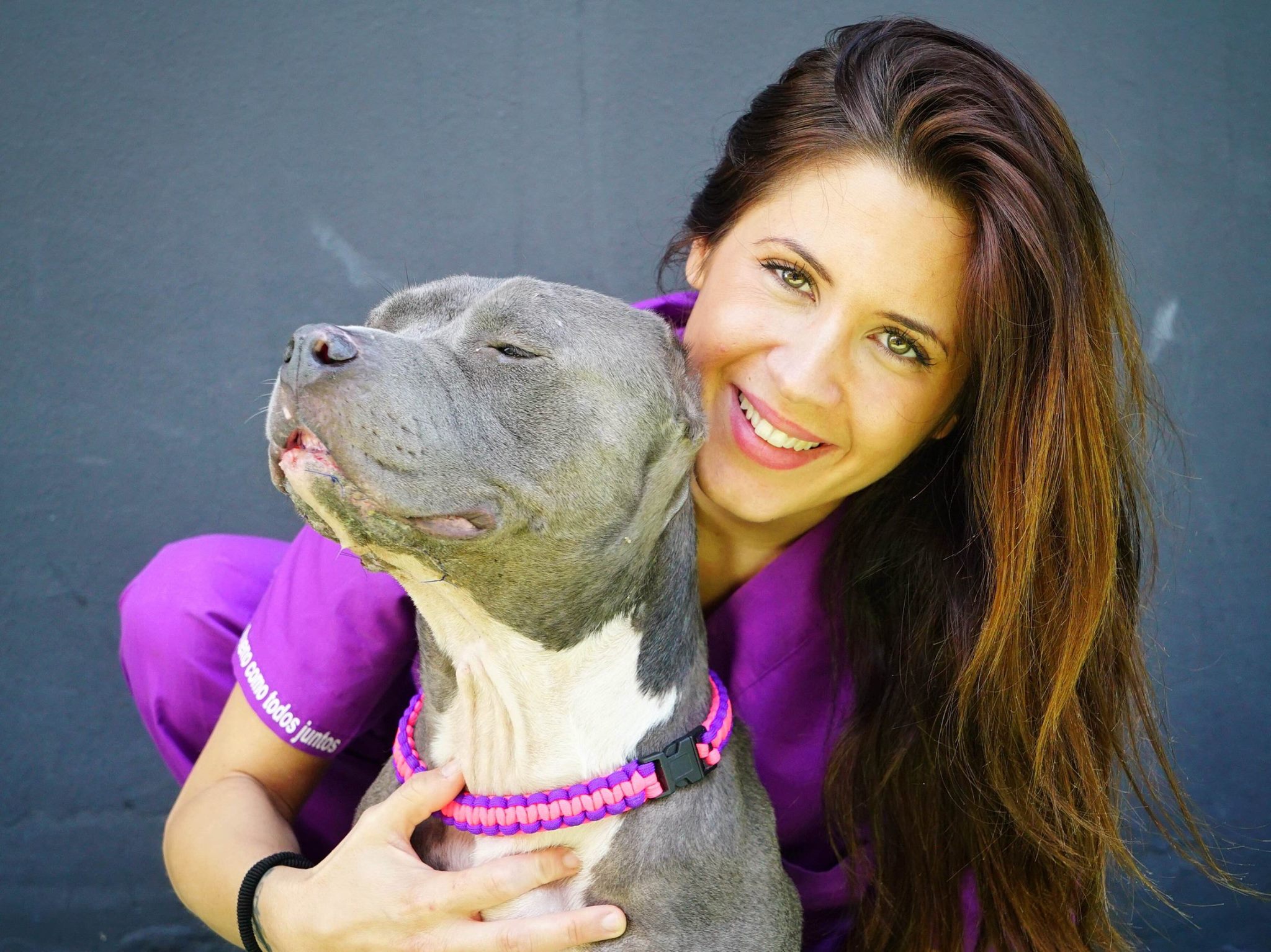 betsy-bait-dog-recovery-4