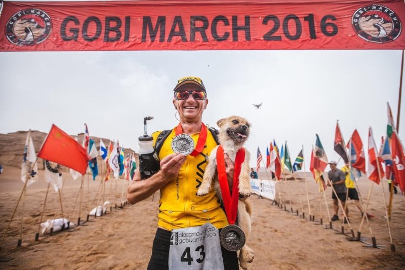 gobi-race-dog-3