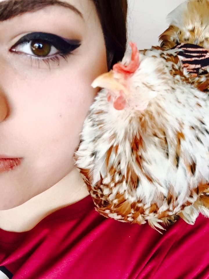 mumble-blind-chicken-7