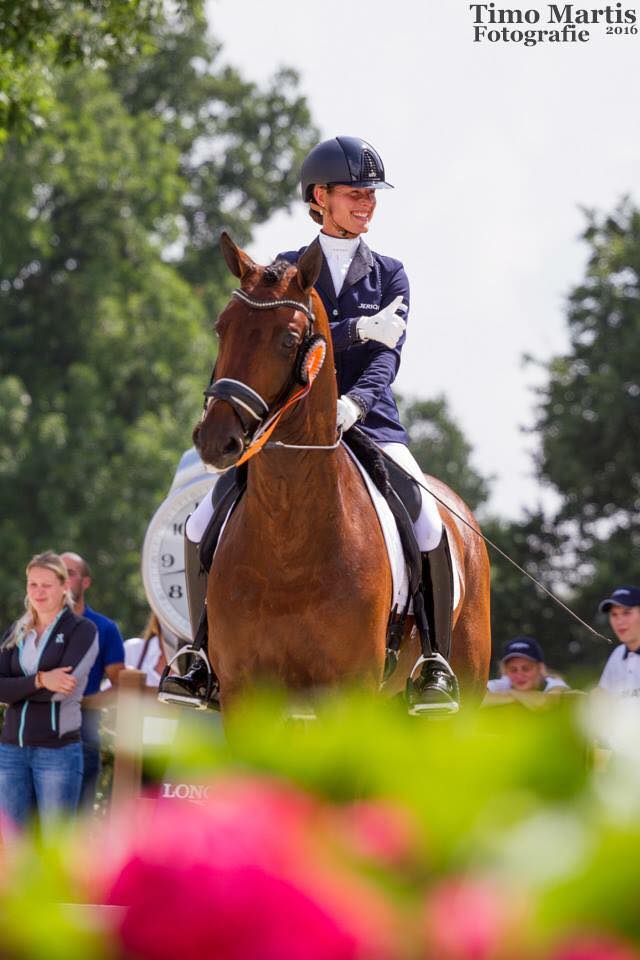 parzival-olympics-horse-2