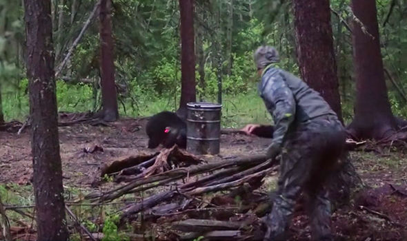 chasse-ours-lance-cruaute-canada-7