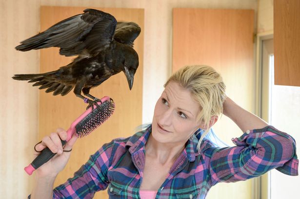 fagin-corneille-sauvetage-6