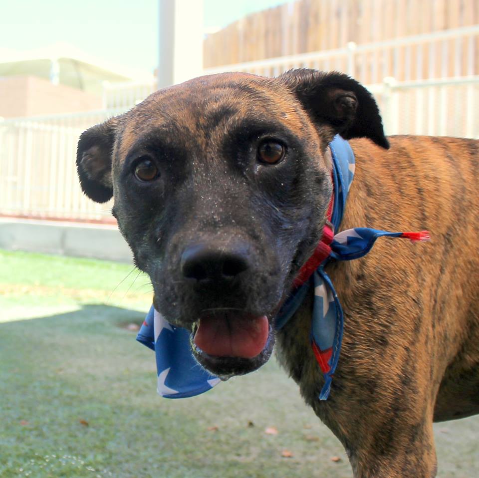 lana-whitney-adoption-3