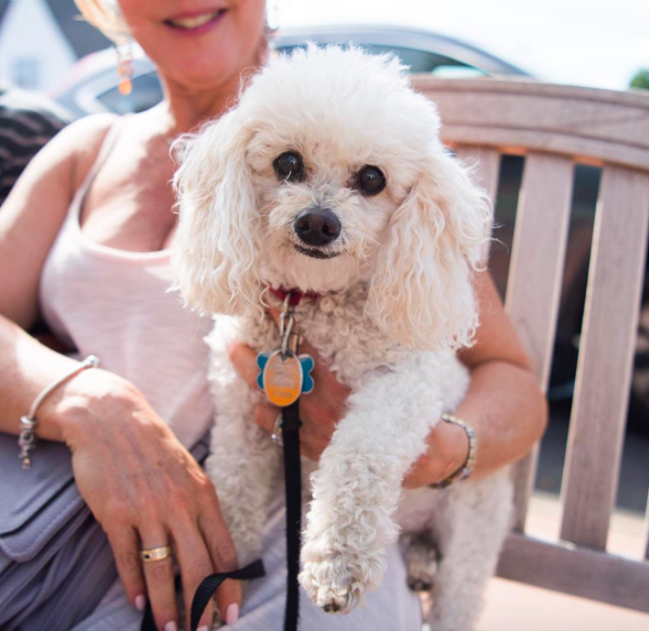 international-day-dog-10