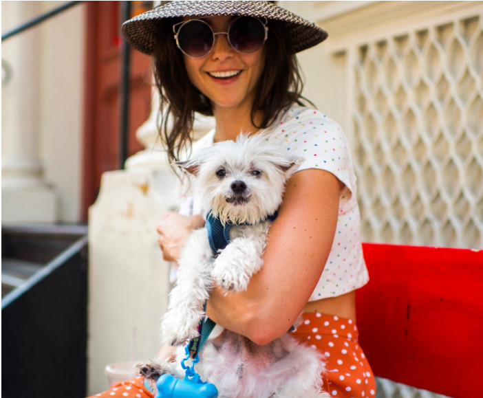 international-day-dog-6