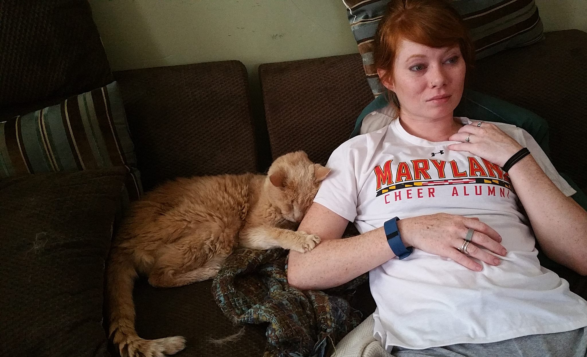 tigger-bucket-list-cat-7