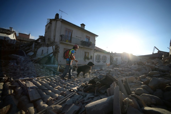 TOPSHOT - Rescue and emergency services personnel searches for victims with a dog in the central Italian village of Amatrice, on August 24, 2016 after a powerful earthquake rocked central Italy. A powerful earthquake rattled a remote area of central Italy on August 24, 2016, leaving at least 120 people dead and scenes of carnage in mountain villages. With 368 people injured and an unknown number trapped under rubble, the figure of dead and wounded was expected to rise in the wake of the pre-dawn quake, Prime Minister Matteo Renzi warned. / AFP PHOTO / FILIPPO MONTEFORTE