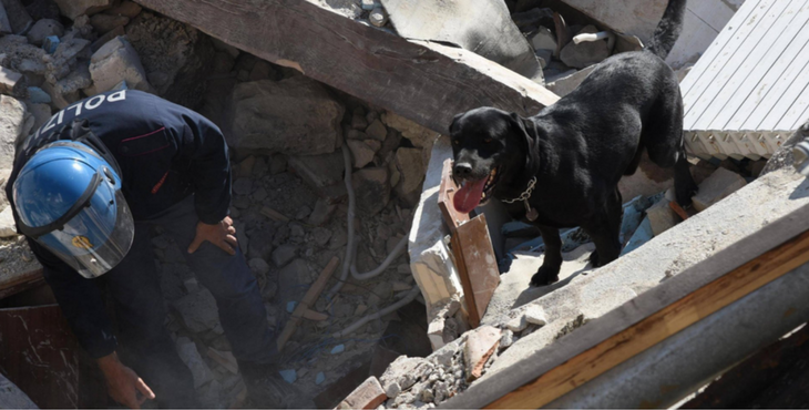 labrador-bambina-terremoto-5