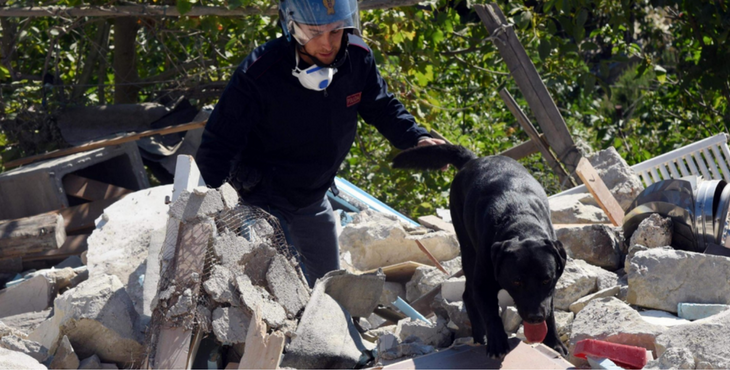 labrador-terremoto-bambina-4