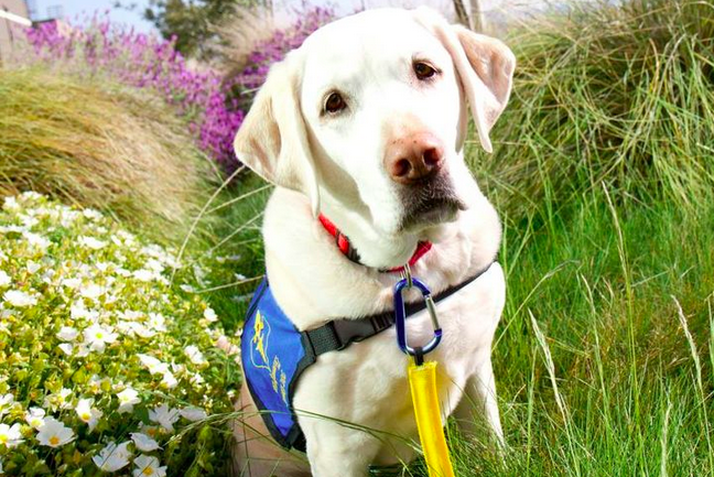 Screenshot 2015-05-15 13.30.56