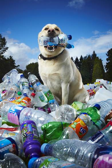 Screenshot 2015-05-15 14.12.53