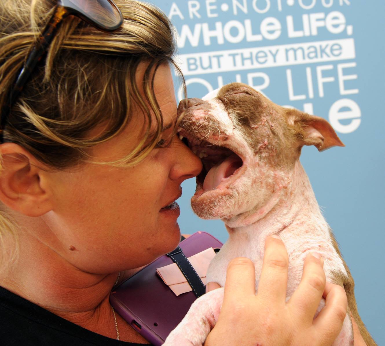 libre-dog-adoption-6