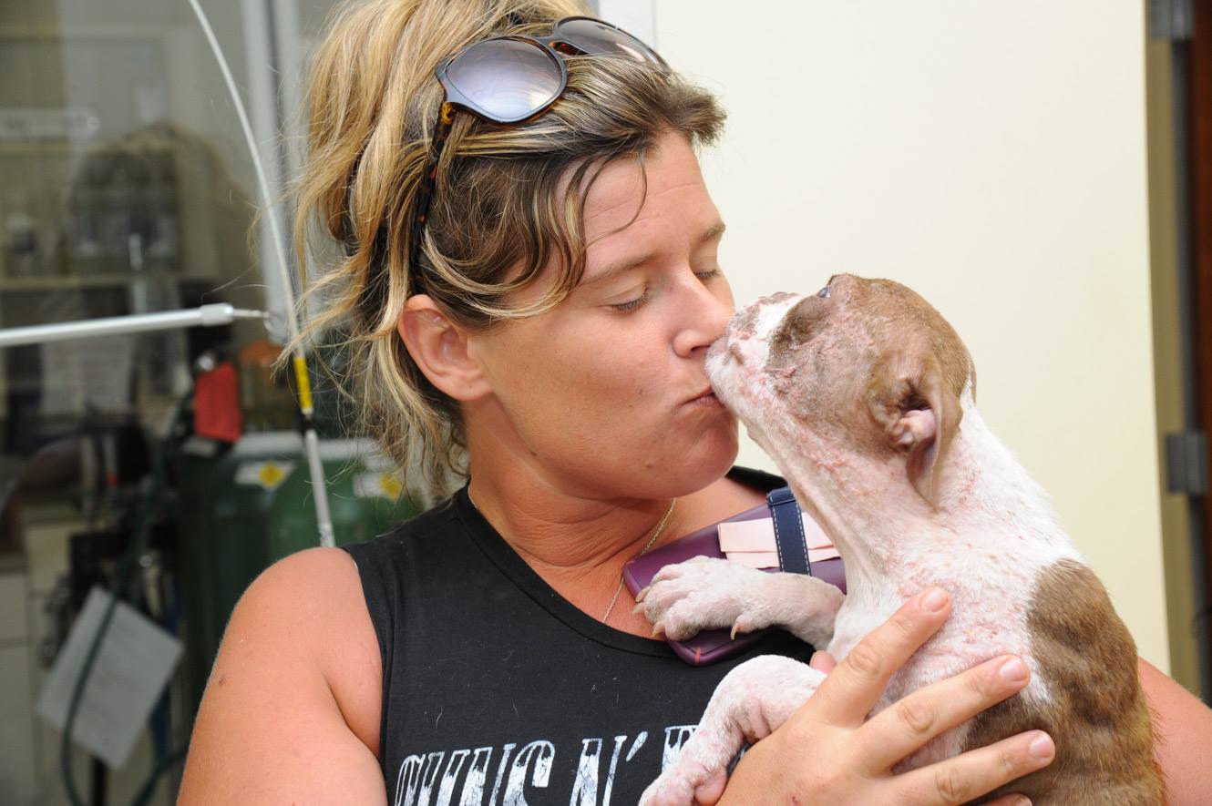 libre-dog-adoption-5