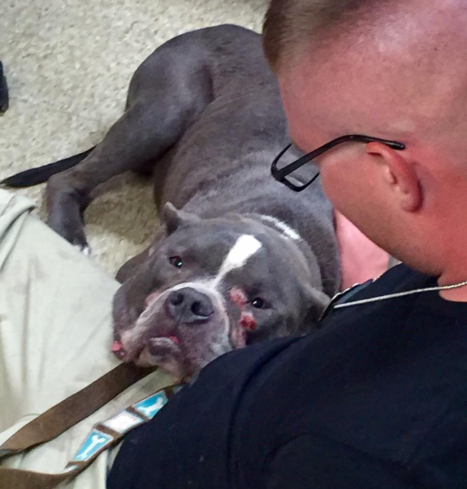 Dog-Bubbles-rescue-5