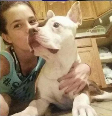 romeo-chien-refuge-sauvetage-3