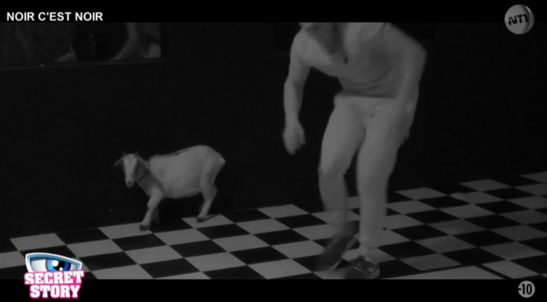 secret-story-animaux-vivants-petition-19