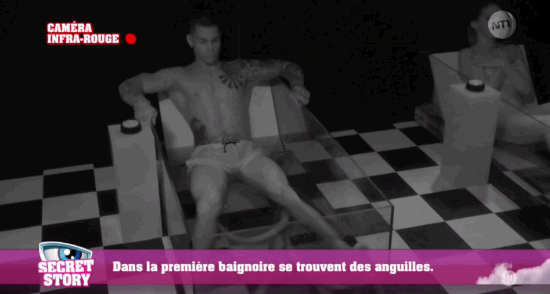 secret-story-animaux-vivants-petition-8