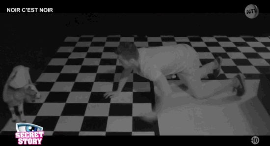 secret-story-animaux-vivants-petition-7