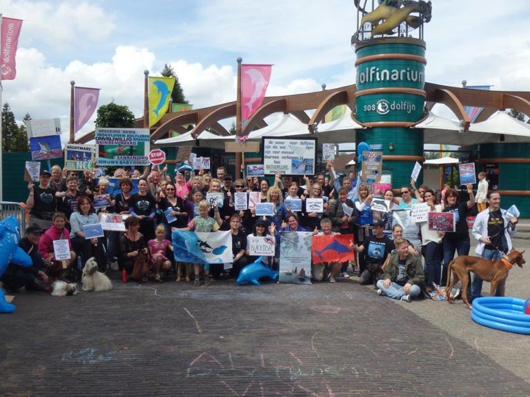 japon-taiji-dauphins-massacre-17