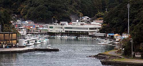 japon-taiji-dauphins-massacre-7