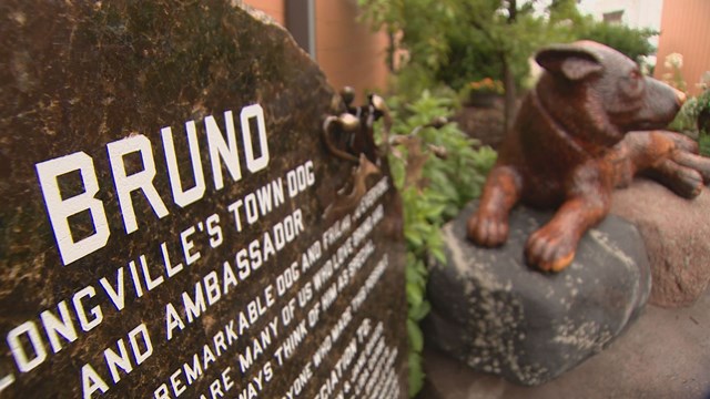 dog-bruno-mascot-2