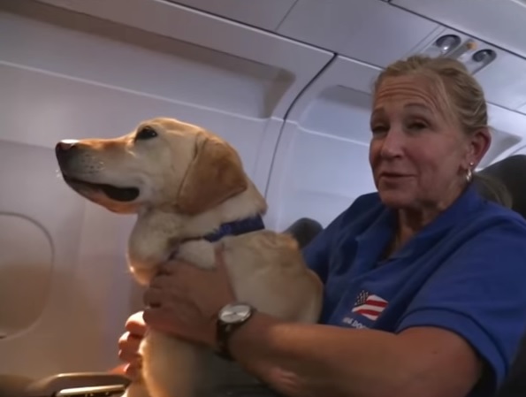 taylor-chien-soldat-retrouvailles-3